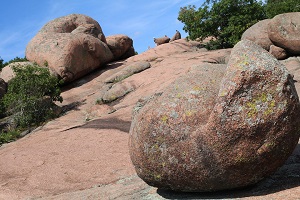 some of the elephant rocks
