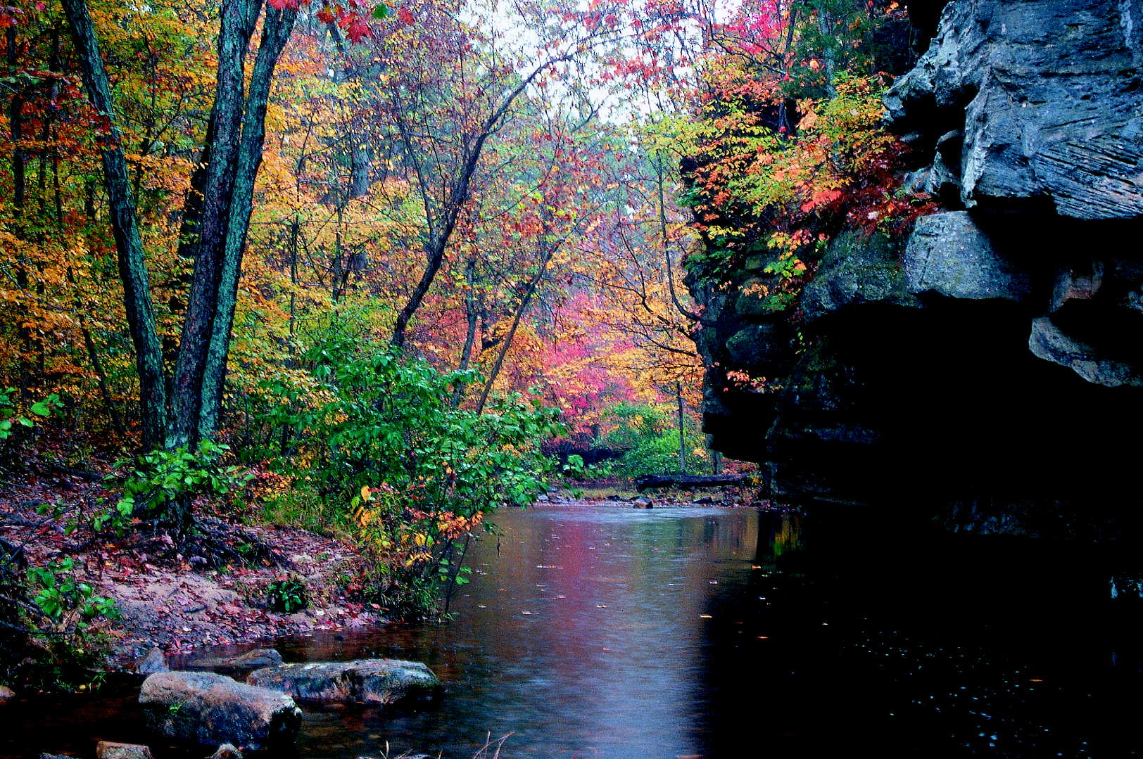 trees with bright fall colors along the stream with a bluff on the other side