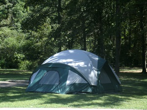 a tent in the shaded campground