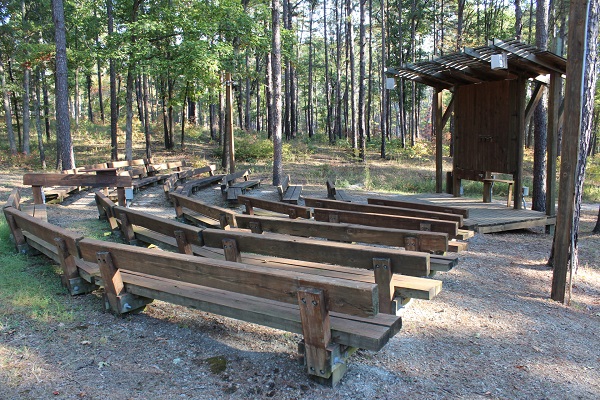 wooden benches of the park's amphitheater