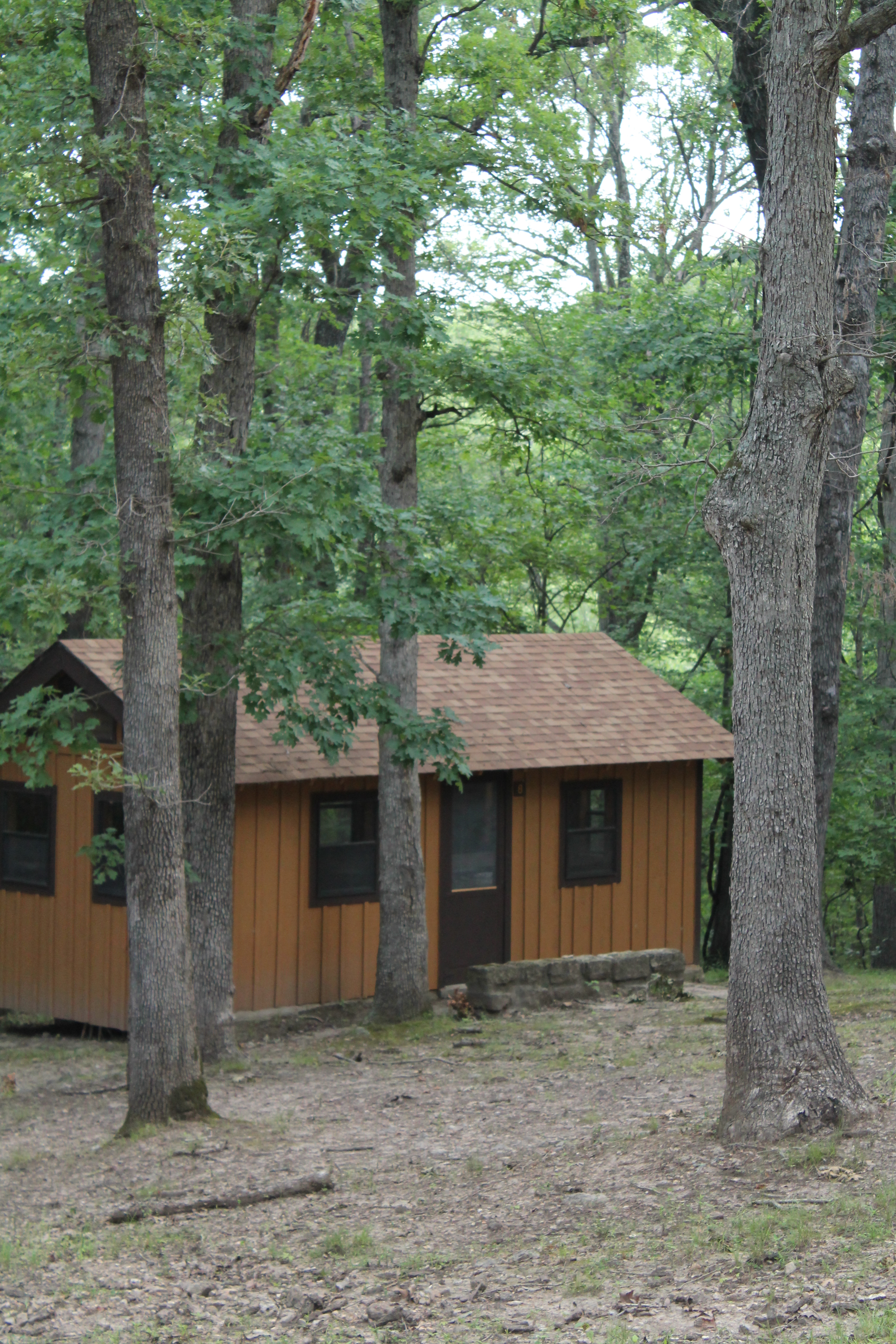 cabin exterior below lofty trees