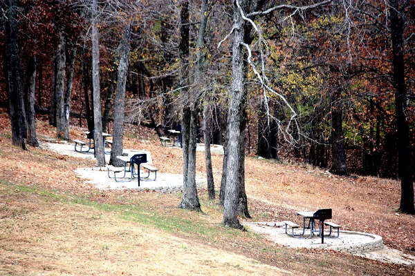 three picnic tables on concrete pads scattered under tall trees