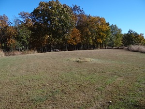 an open field with trees in the background