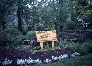 sign identifying the wildflower garden
