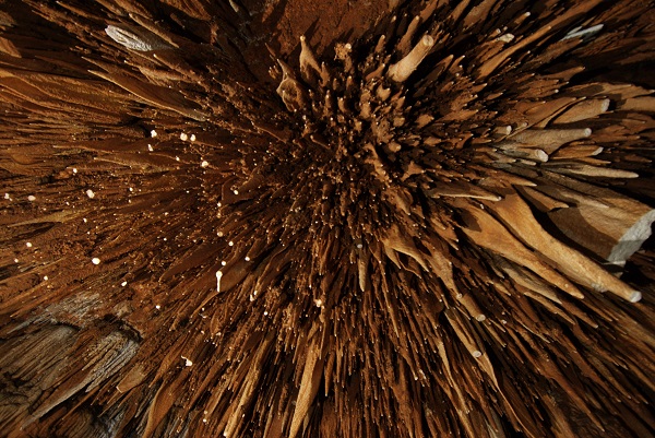 stalagtites hanging from the cave ceiling