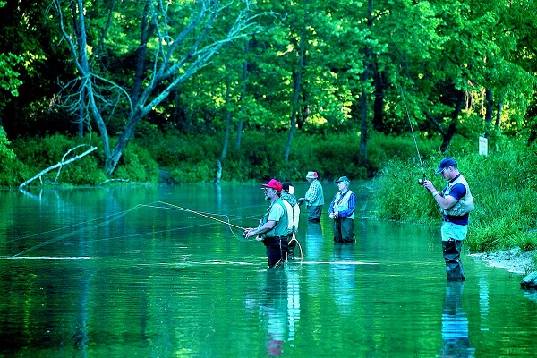 people wading in water fishing