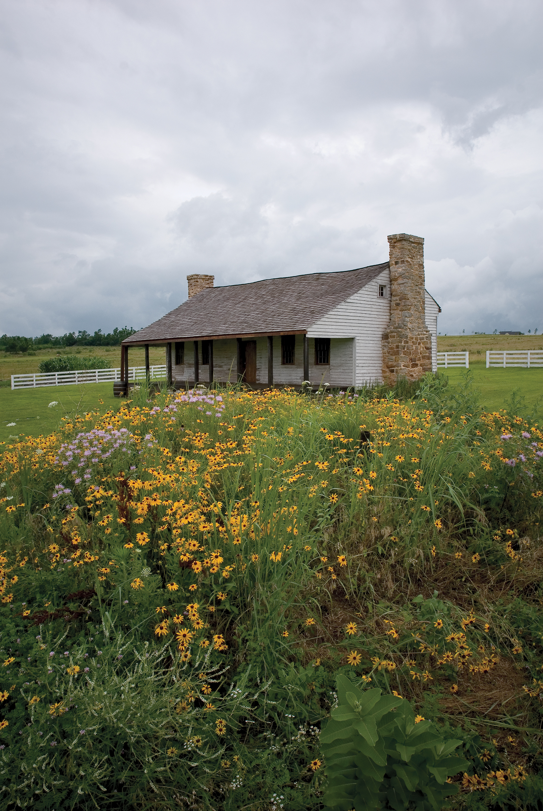 pink and yellow wildflowers with the cabin in the background