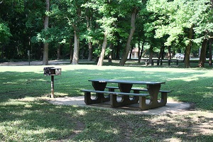 a picnic table and grill under a shade tree