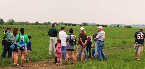 a naturalist leads a hike to see the bison