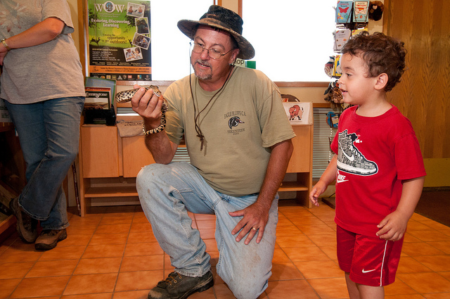 a little boy looking at a snake in a naturalists hand