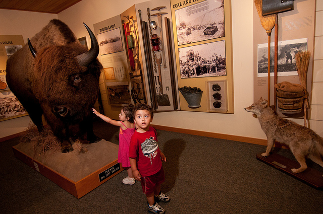 two toddlers looking at the bison and other exhibits in the visitor center