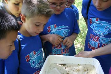 kids looking at insects in a tub of sand