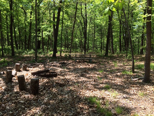 a fire ring and picnic table in a wooded area