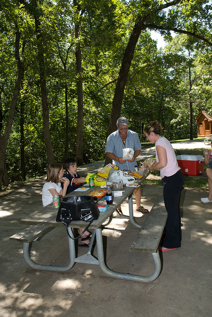 a family enjoys a picnic lunch at a shaded picnic table