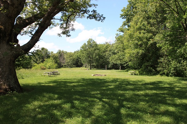 a few picnic tables scattered in an open area surrounded by trees