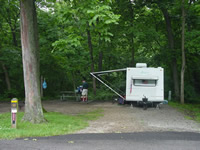 a camper parked on a campsite under tall trees