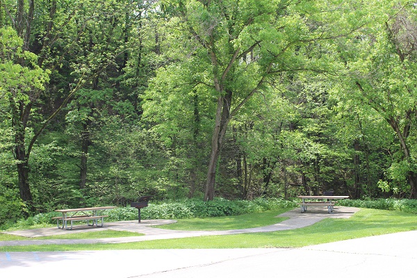 two picnic tables and grills on concrete pads in a shaded area