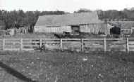 old photo of the mule barn